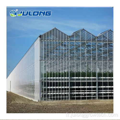 Venlo Glass Greenhouse pour le prix de l'agriculture Taille personnalisée